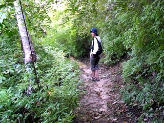 track2-320x240.jpg track2-320x240.jpg