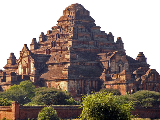 dhammyangi01.jpg
