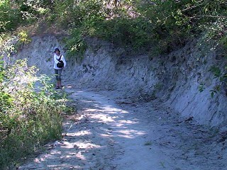 track1-320x240.jpg track1-320x240.jpg