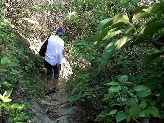track3-320x240.jpg track3-320x240.jpg