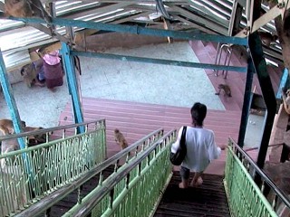 02-staircase-down-2-320x240.jpg 02-staircase-down-2-320x240.jpg