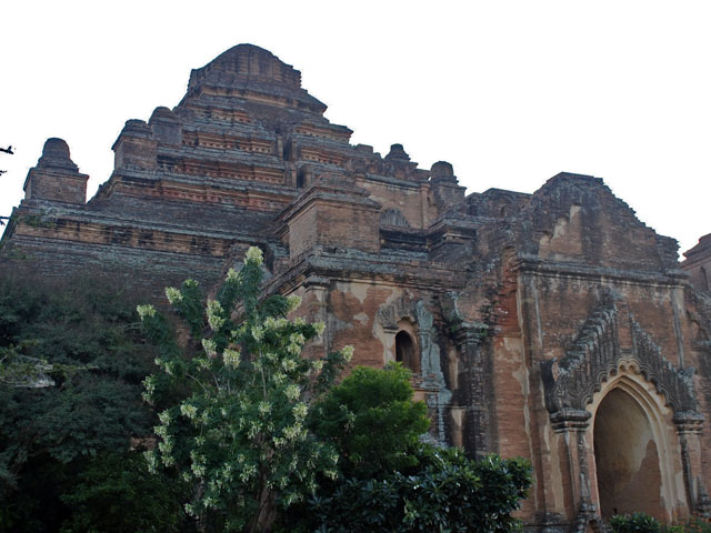 dhammyangi02.jpg