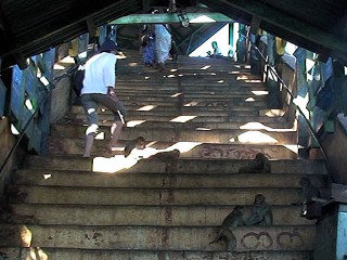 02-staircase-mon-11-320x240.jpg 02-staircase-mon-11-320x240.jpg